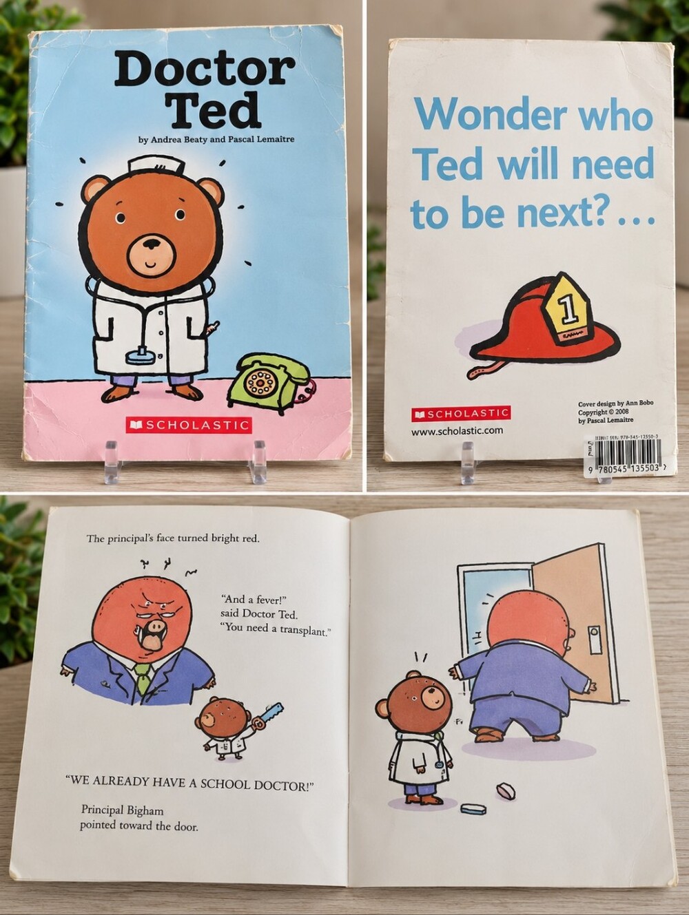 Doctor Ted by Andrea Beaty & Pascal Lemaitre – Scholastic Children’s Paperback